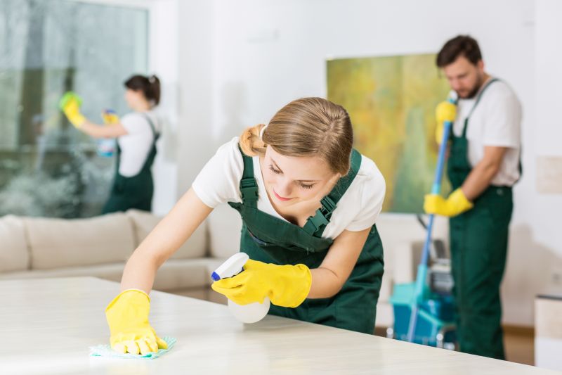 Basement Vacuuming in Puyallup, WA